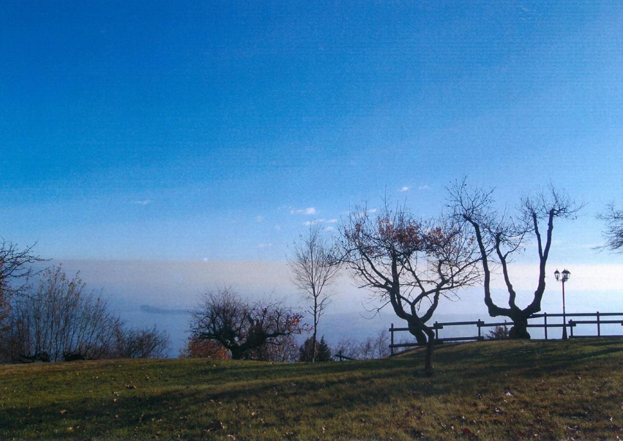 La Fiocchina - Magic Place - Apartments & Studios In Garda Lake - Countryside Farmhouse, Inside The Middle Of The Lake Salò Eksteriør bilde